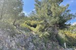 Thumbnail 6 of Building plot for sale in Pego / Spain #45325
