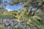 Thumbnail 5 of Building plot for sale in Pego / Spain #45325