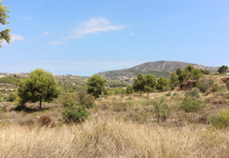 Detail image of Building plot for sale in Moraira / Spain #58918