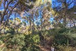 Thumbnail 9 of Villa for sale in Moraira / Spain #59255