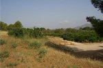 Thumbnail 2 of Building plot for sale in Pedreguer / Spain #47049