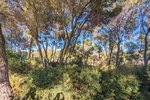 Thumbnail 10 of Villa for sale in Moraira / Spain #59255