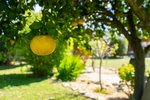 Thumbnail 49 of Villa for sale in Denia / Spain #59930
