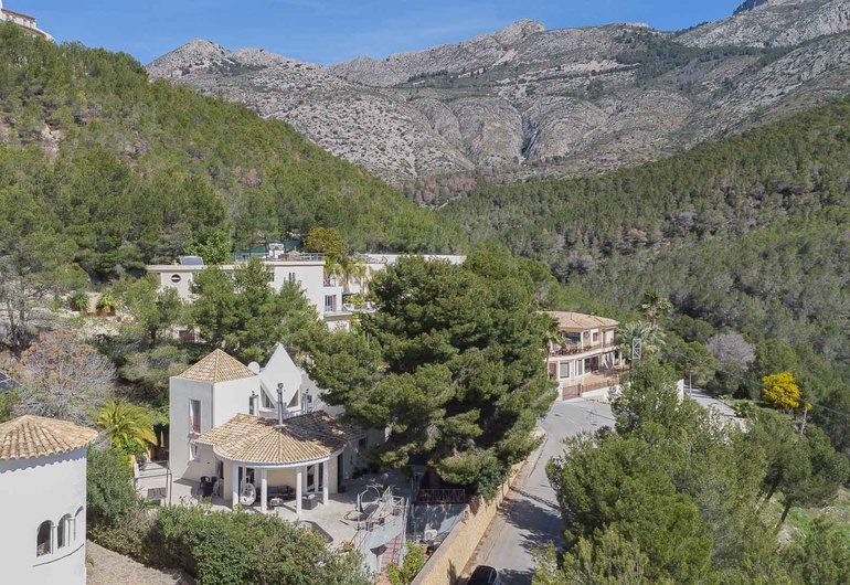 Detail image of Villa for sale in Altea / Spain #59977