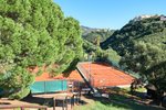 Thumbnail 16 of Apartment for sale in Marbella / Spain #59682