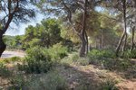 Thumbnail 8 of Building plot for sale in Javea / Spain #42292