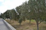 Thumbnail 68 of Villa for sale in La Xara / Spain #44442