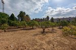 Thumbnail 10 of Finca for sale in Denia / Spain #59042