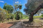 Thumbnail 9 of Finca for sale in Javea / Spain #61023
