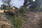 Thumbnail 6 of Building plot for sale in Moraira / Spain #59268