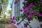 Thumbnail 24 of Villa for sale in Javea / Spain #60847