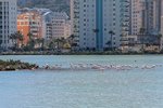 Thumbnail 30 of Villa for sale in Calpe / Spain #62315
