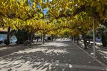 Thumbnail 2 of Villa for sale in Moraira / Spain #59211