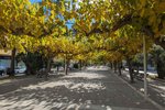 Thumbnail 15 of Villa for sale in Moraira / Spain #61286