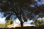 Thumbnail 19 of Building plot for sale in Javea / Spain #42306