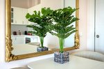 Thumbnail 49 of Apartment for sale in Altea / Spain #59936