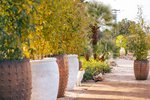 Thumbnail 26 of Finca for sale in Pedreguer / Spain #62227