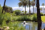 Thumbnail 24 of Apartment for sale in Marbella / Spain #59973