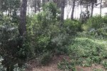 Thumbnail 12 of Building plot for sale in Javea / Spain #43741