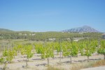 Thumbnail 17 of Villa for sale in Benitachell / Spain #59135