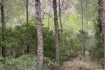 Thumbnail 1 of Building plot for sale in Javea / Spain #51204