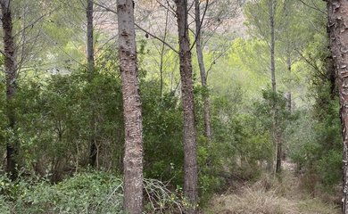 Building plot for sale in Javea / Spain