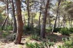 Thumbnail 2 of Building plot for sale in Javea / Spain #42292