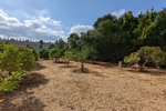 Thumbnail 2 of Finca for sale in Denia / Spain #59042