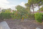 Thumbnail 45 of Villa for sale in Denia / Spain #59294