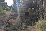 Thumbnail 5 of Building plot for sale in Moraira / Spain #59268