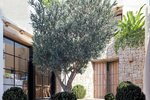 Thumbnail 7 of Villa for sale in Denia / Spain #60518
