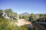 Thumbnail 8 of Villa for sale in Javea / Spain #59975