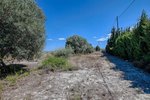 Thumbnail 14 of Finca for sale in Moraira / Spain #61170