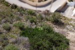 Thumbnail 3 of Building plot for sale in Moraira / Spain #60766