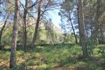 Thumbnail 4 of Building plot for sale in Javea / Spain #58304