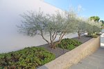 Thumbnail 50 of Design Villa for sale in Moraira / Spain #59446