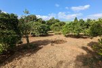 Thumbnail 6 of Finca for sale in Denia / Spain #59042