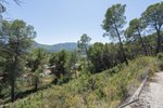 Thumbnail 20 of Villa for sale in Alcalali / Spain #60520