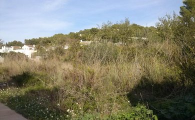Building plot for sale in Moraira / Spain