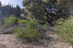 Thumbnail 7 of Building plot for sale in Moraira / Spain #59268