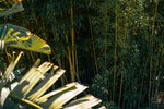 Thumbnail 10 of Finca for sale in Javea / Spain #62257