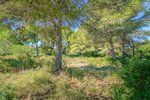 Thumbnail 2 of Building plot for sale in Javea / Spain #60252