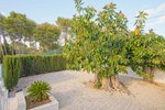 Thumbnail 46 of Villa for sale in Denia / Spain #59294