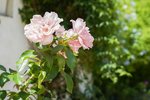 Thumbnail 38 of Villa for sale in Javea / Spain #60569