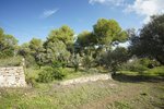Thumbnail 31 of Villa for sale in Javea / Spain #60847
