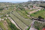 Thumbnail 18 of Finca for sale in Benissa / Spain #59646