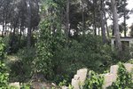 Thumbnail 6 of Building plot for sale in Javea / Spain #43741