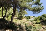 Thumbnail 9 of Building plot for sale in Javea / Spain #44080