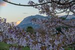 Thumbnail 35 of Apartment for sale in Denia / Spain #59903