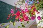 Thumbnail 7 of Villa for sale in Javea / Spain #59743